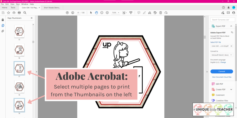 Save paper by printing only the pages you need in Adobe Acrobat™
